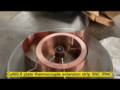 Bande SNC (RNC) d'extension de thermocouple de S/R